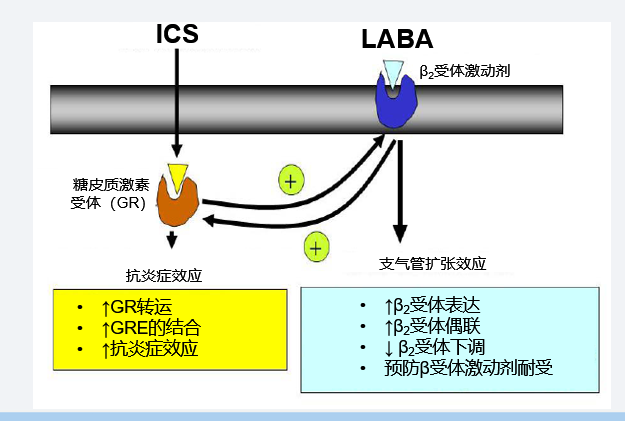 1735002802884740CzX3.png 圖1.png