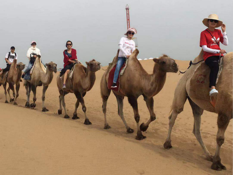 15670414719053218Fkx.jpg 2-800.jpg