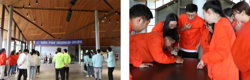 1652663316865241piDj.jpg 850-7.jpg